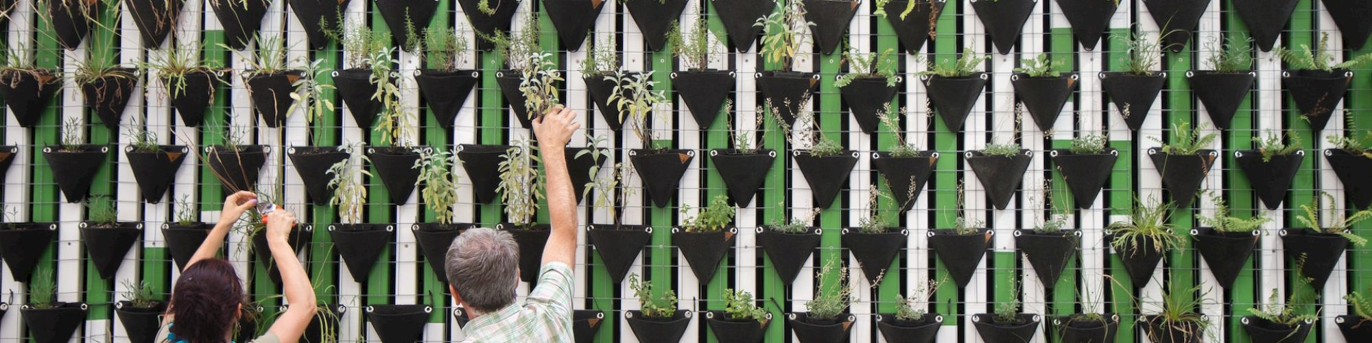 Two people tending to plants on a vertical garden wall made up of numerous small, black pots arranged in a geometric pattern.