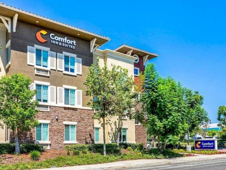 A Comfort Inn & Suites building is shown with a sign and a clear blue sky in the background, surrounded by trees and landscaping.